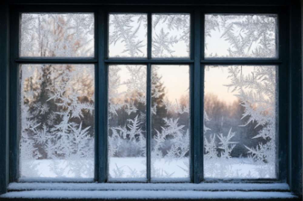 В торговой точке Минусинска изъяли незаконный снюс на 1 млн рублей В торговой точке Минусинска изъяли незаконный снюс на 1 млн рублей