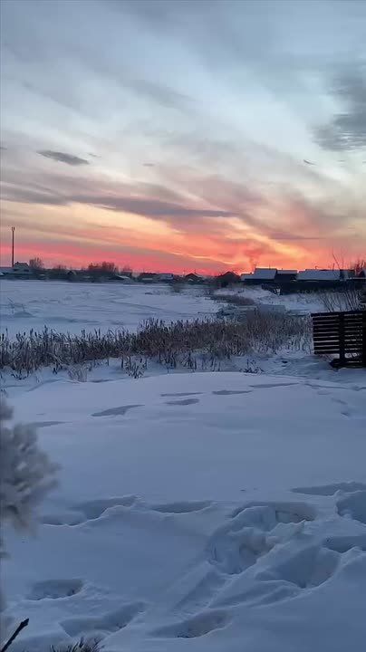 ������ �� 13 ������. ������ ���� ���