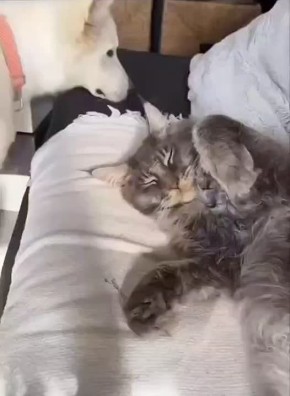 ������� ����� ��������� ��������