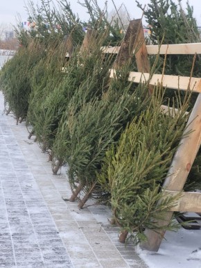 ���� ����� ����� ���� ����� ���������� � �����������?