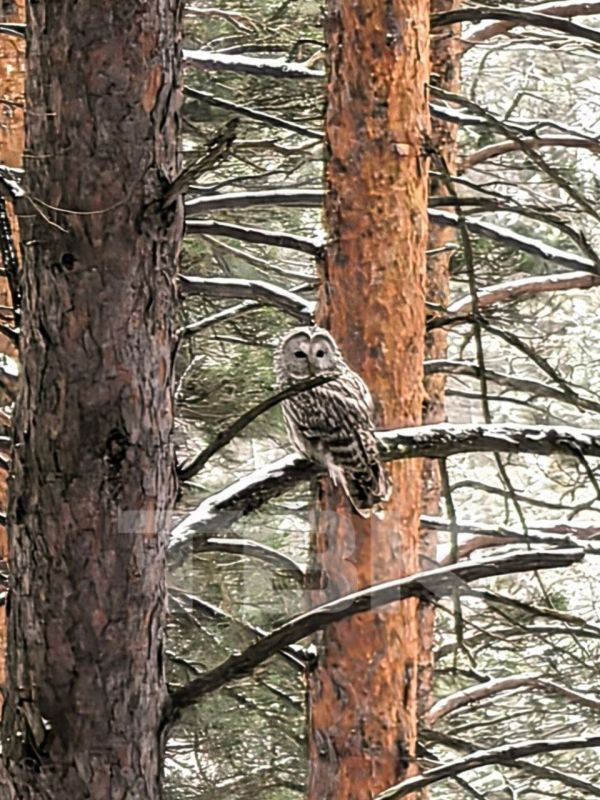 ��� ����� ������!. ��� ����� ������� ��������������� ��� ��������� � ���������� ����