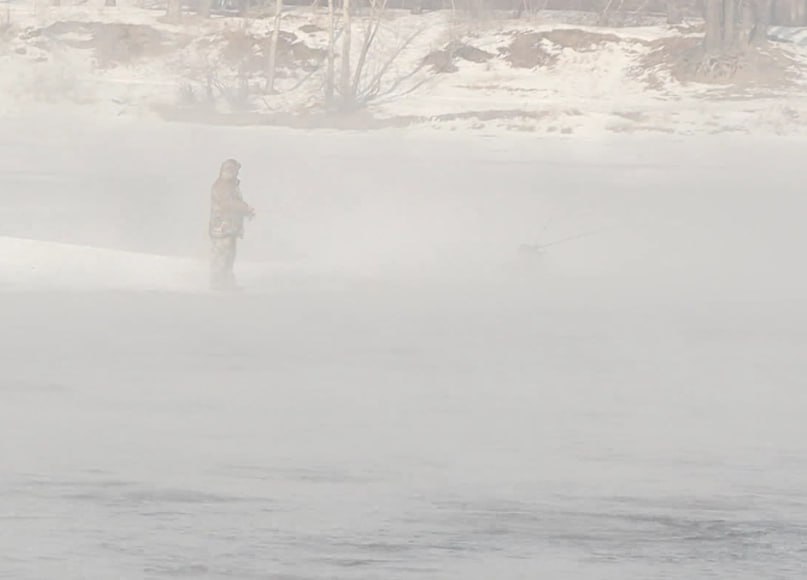 Массовый замор рыбы произошел в Ширинском районе Хакасии