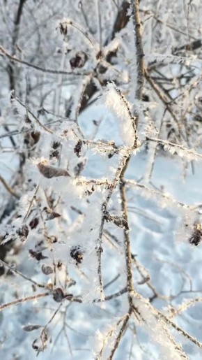 ������ �� 14 ������. ���