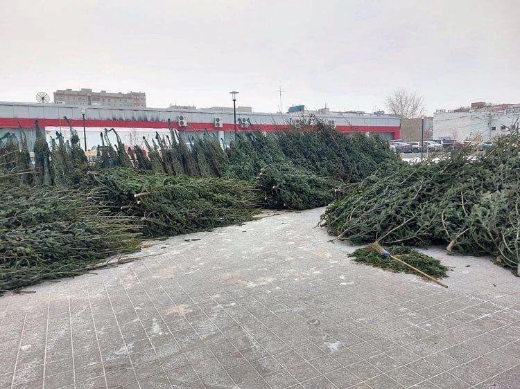 � ����������� 17 ������ ����� ��������� ���������� ���� �� �����������