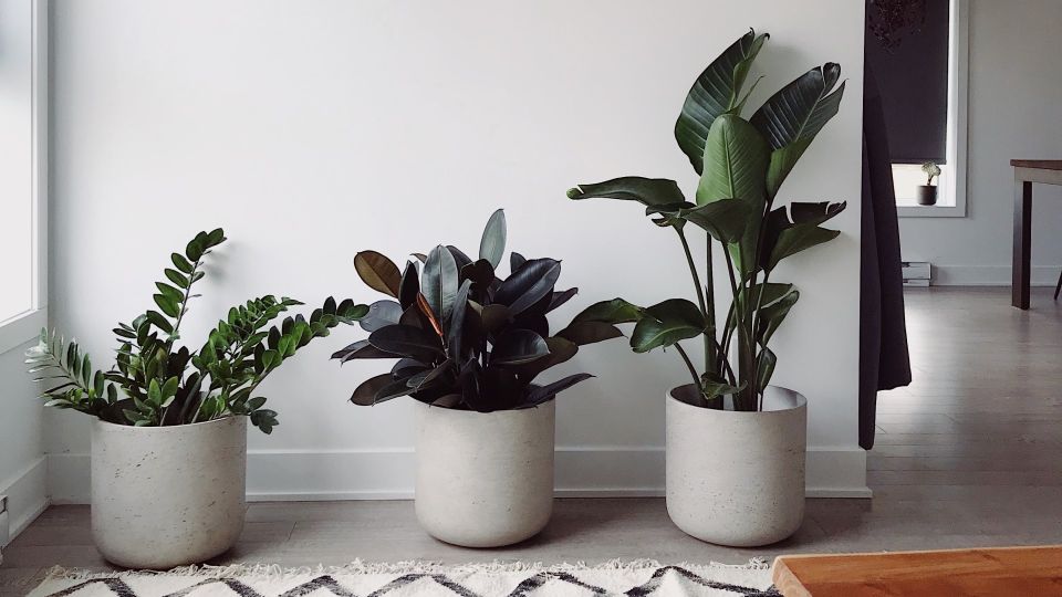 ��� �������� ������� ��������� ��� ������: �������� ����� �� ������ �����