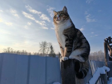 ������ ����!. ����: ��������� ���������� #���������������