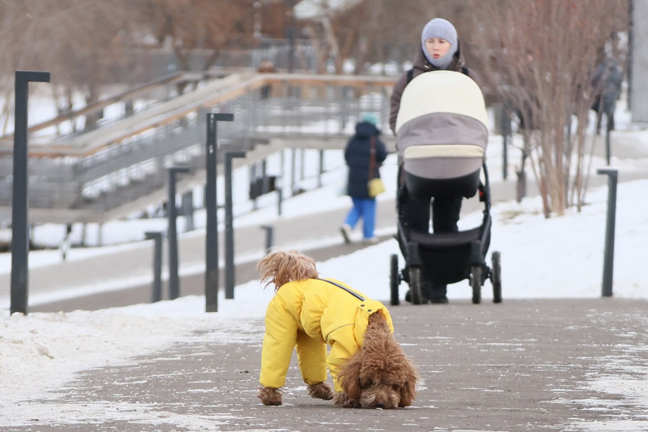 Под Красноярском 14 января ожидаются морозы до -35 градусов
