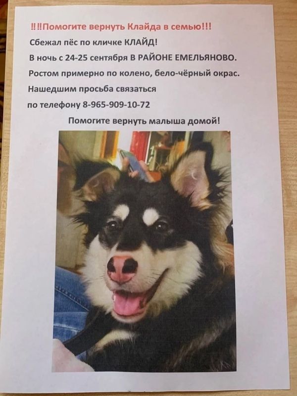 ���� ���� � ��� �������� ����� ������