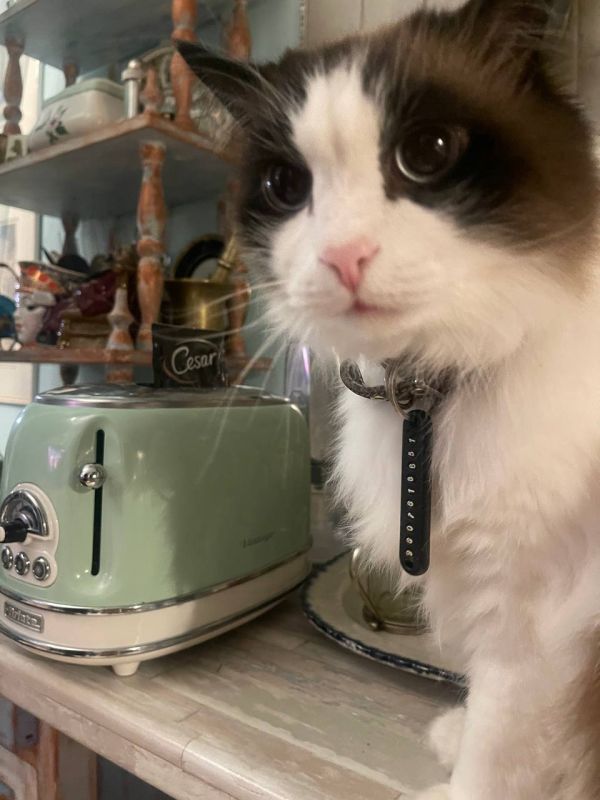 ���� �������. �� ���, ���? � �������, �� ������?