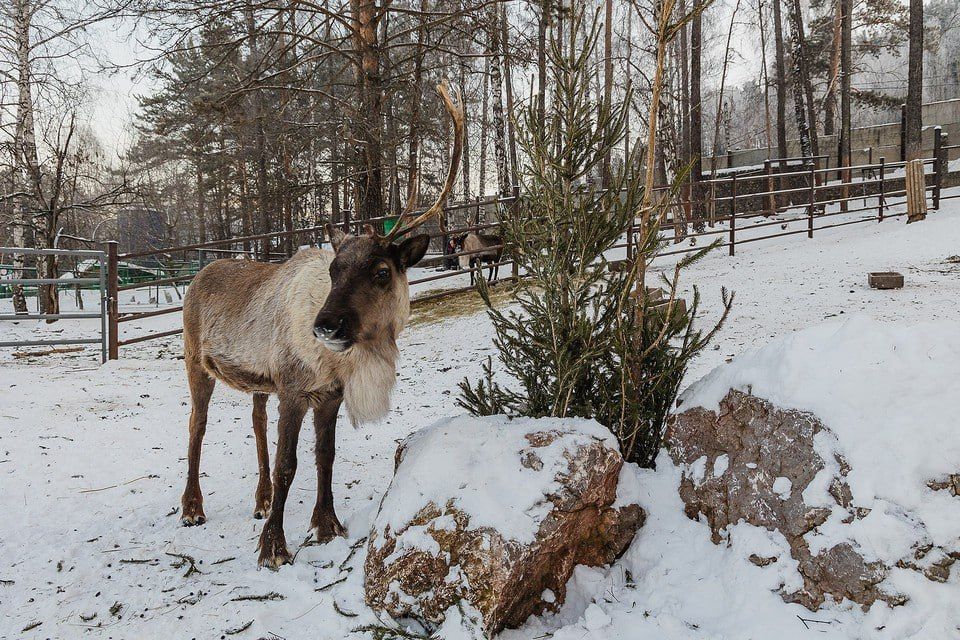 ����������� ������������� ����� ����� � ����� ����� ����� ����������, ��� ������� ����� ���������� ������ �����������