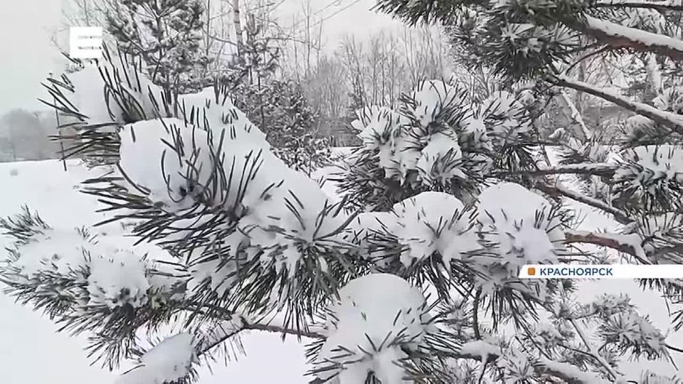 �� ����� � ����������� ������ ����� �������� ����� �����