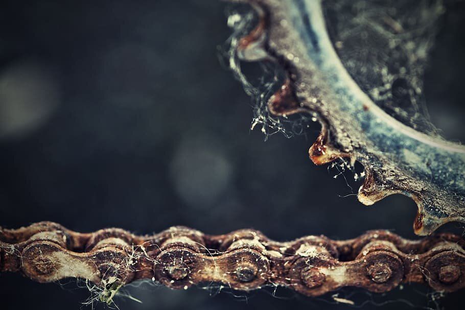 ���������������� ���� �� ���������: ��� ��������� ��������� ��������� ������ ����������