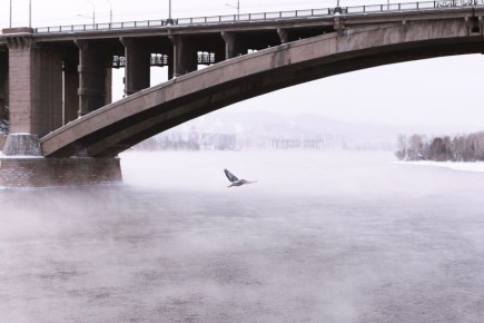 ������ �������� � ��������-������