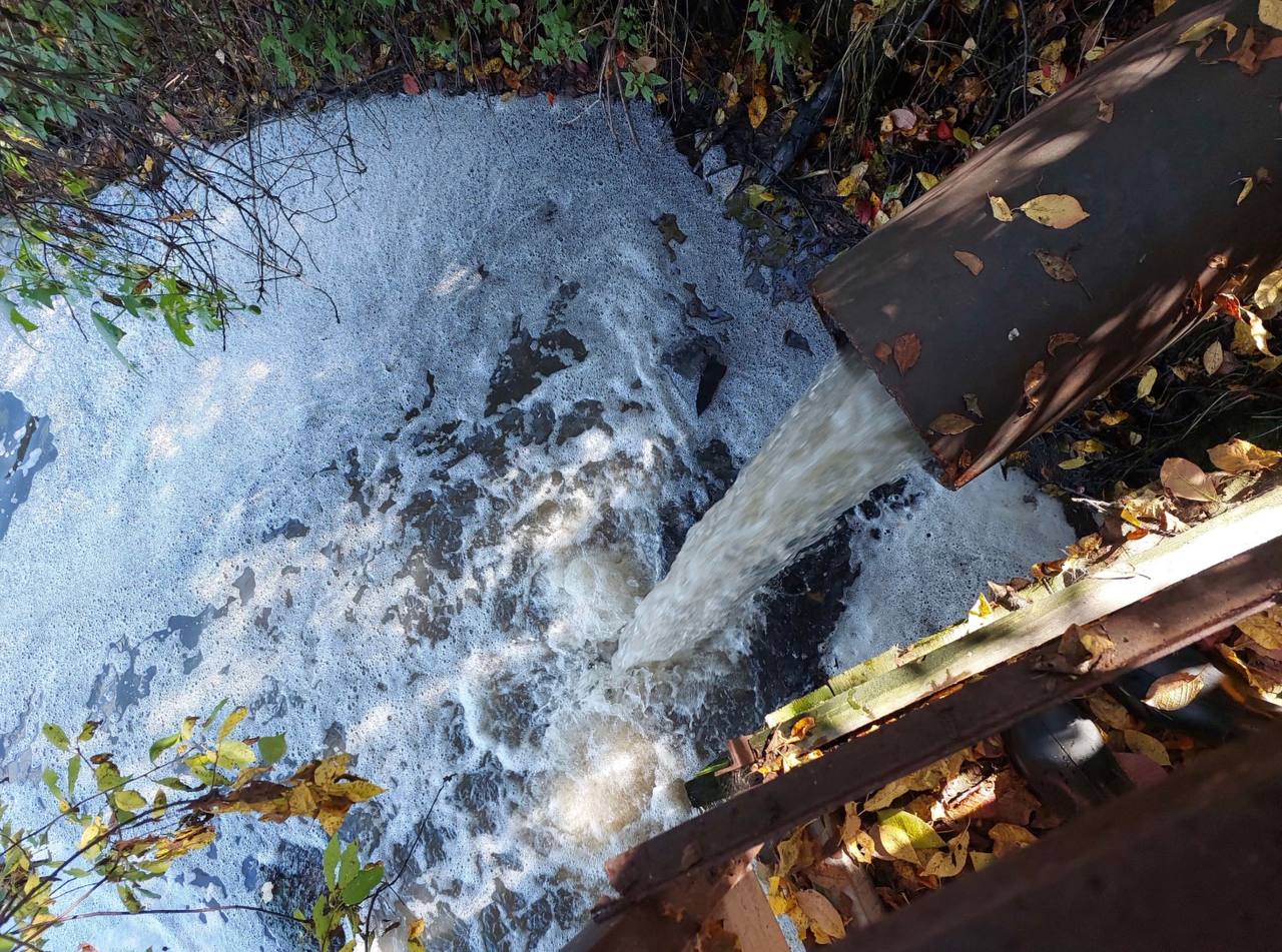 1234567. Букет статей за букет нечистот: прокуратура пресекла сброс жидких отходов в р. Ирша