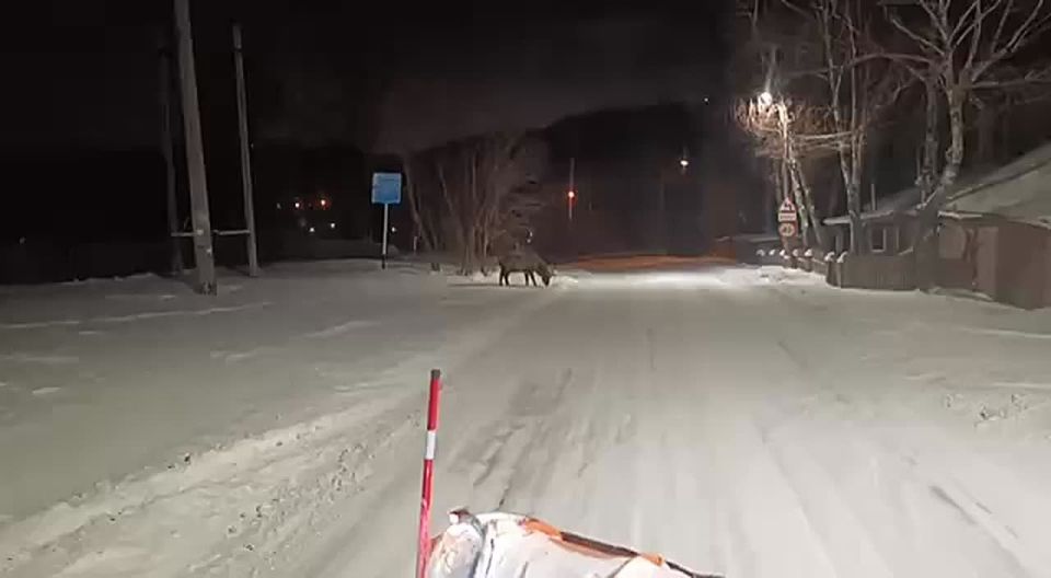 ������ �������� ���������� �� �������