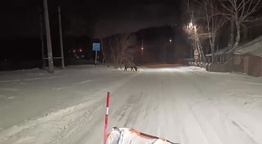 ����� ��������, ��� ��������� ������� ����