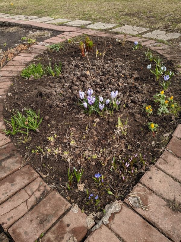 ��������� �������� � ����� ����: ������� �������� �����