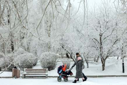 ������ ������������ ����������� �� ��������� ���������� �������