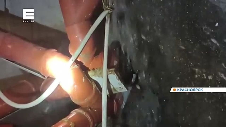 ������ ������������ ������� �������� �� ����������� ����� �����������