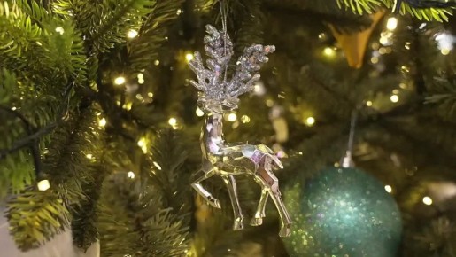 Дмитрий Карасёв: Сегодня, благодаря акции «Ёлка желаний», сбылась мечта удивительной активистки из Горловки — Кати