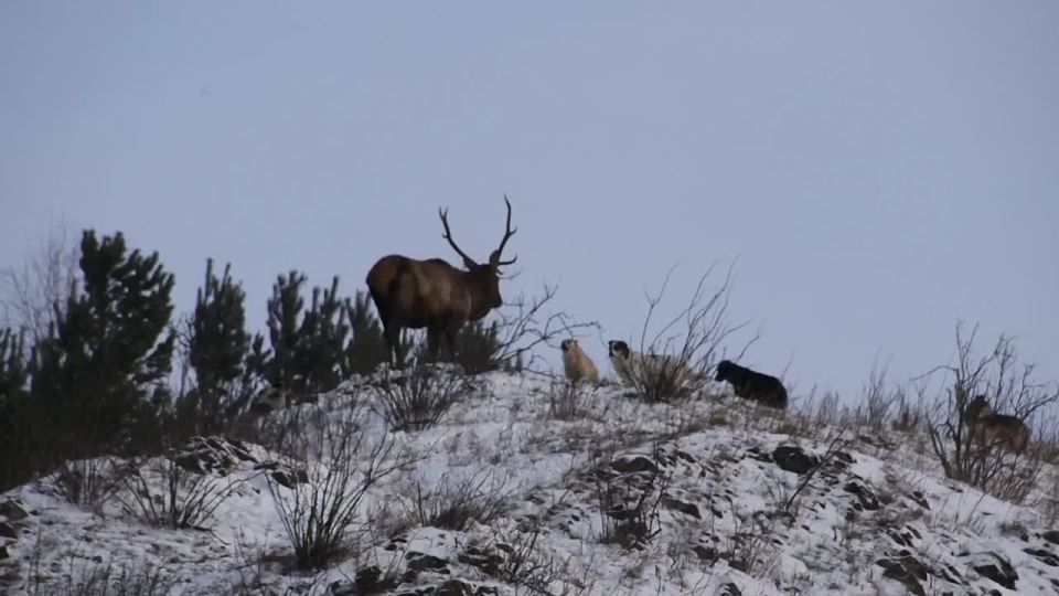 �� ������������� �������� ���� ����� ������ �� �������