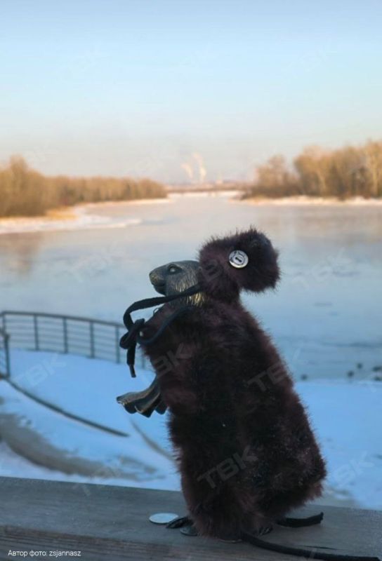 Ну прямо барыня! А что? Морозы, вот и шубка соответствующая!