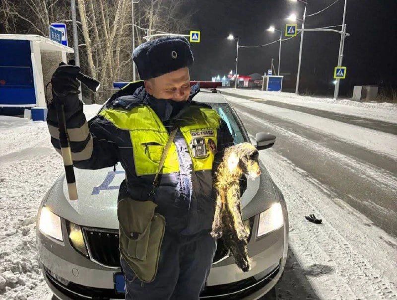 ����������� ����������� ������ ������������� �������