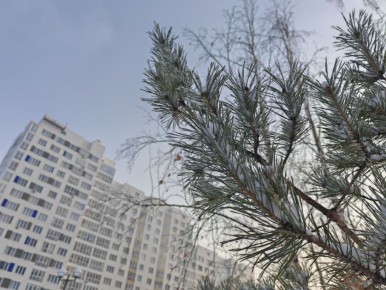 ������ ����!. ����: ��������� ���������� #���������������