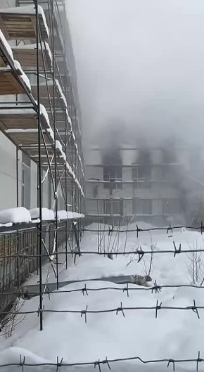 � ������� ������ ��� � ���������� ��������� �����, ���������� 10 �������