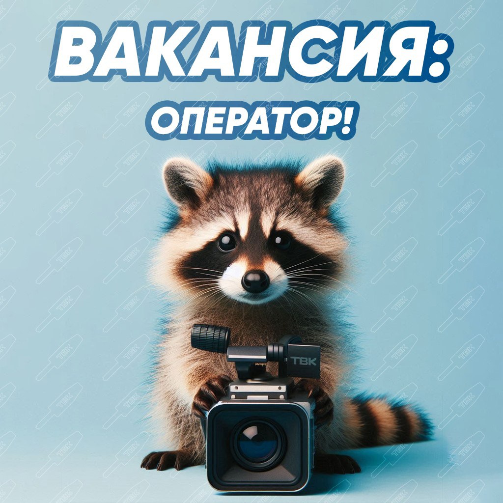 Работа на ТВК. Ищем видеооператора в «Новости ТВК»