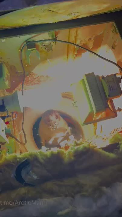 ����� ��������� �� ���!�: � ������������ �� ���� �������� ���������� ������� � �������� �� ����� ����������� �����