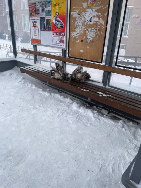 � ������� �� ���������� ��������� �������� ���� �������������� ���