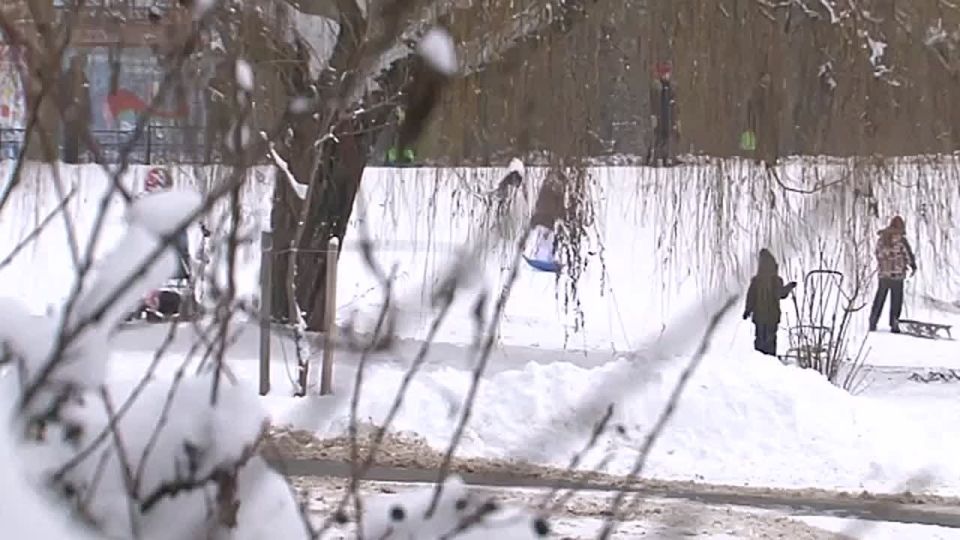 ������� ������ �����������