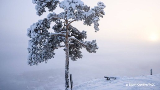 � ������������ ���� ��-�� 40-���������� ������ �������� ��������� � ������� ����� ���������, � ����� ���� ����� ���������� ������� ������-����������� ������ �������� �������