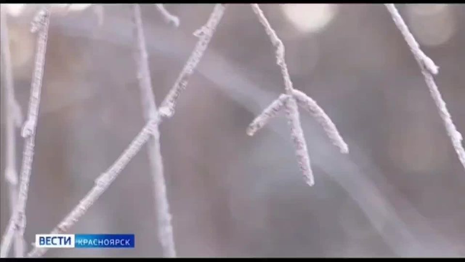 ���� ��������� � ������� ������� �������