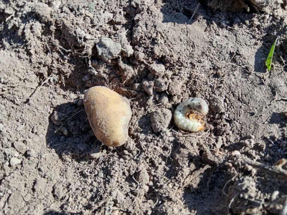 ��� ������� ������ � ����� ����� ������ ��� ������ �� ����������