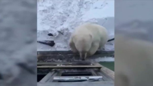 �� ������� ������������ ����� ������ �������, ������� ����� ����� � �����