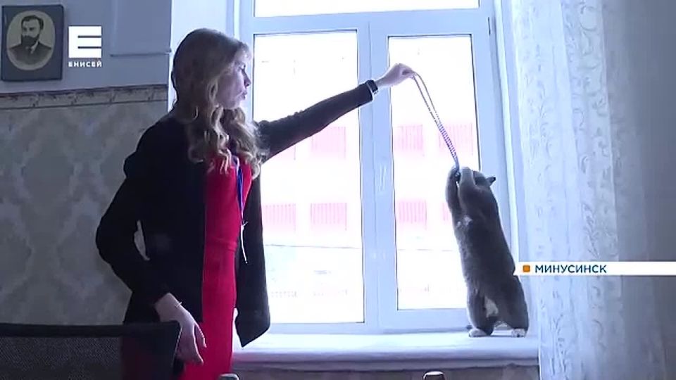 � ���������� ��� ���� ���������� �������� �����