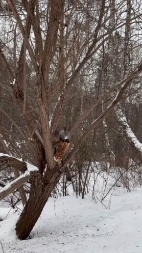 ������ �� 16 ������. ���