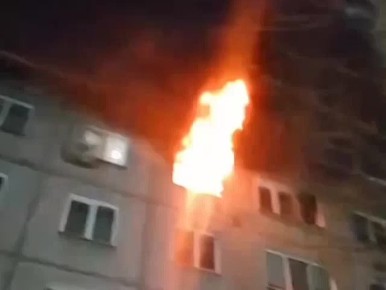 В Ачинске собака ценой своей жизни спасла девочку в горящей квартире