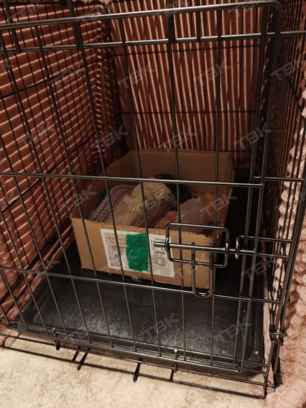 ����� ����� ����� �����. ������ ������� �� ����������