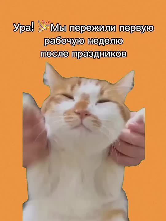 ��� � �������. ������ ������� ������ ����� ���������� ���������� ���������