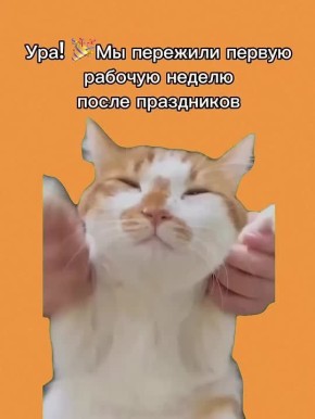 ��� � �������. ������ ������� ������ ����� ���������� ���������� ���������