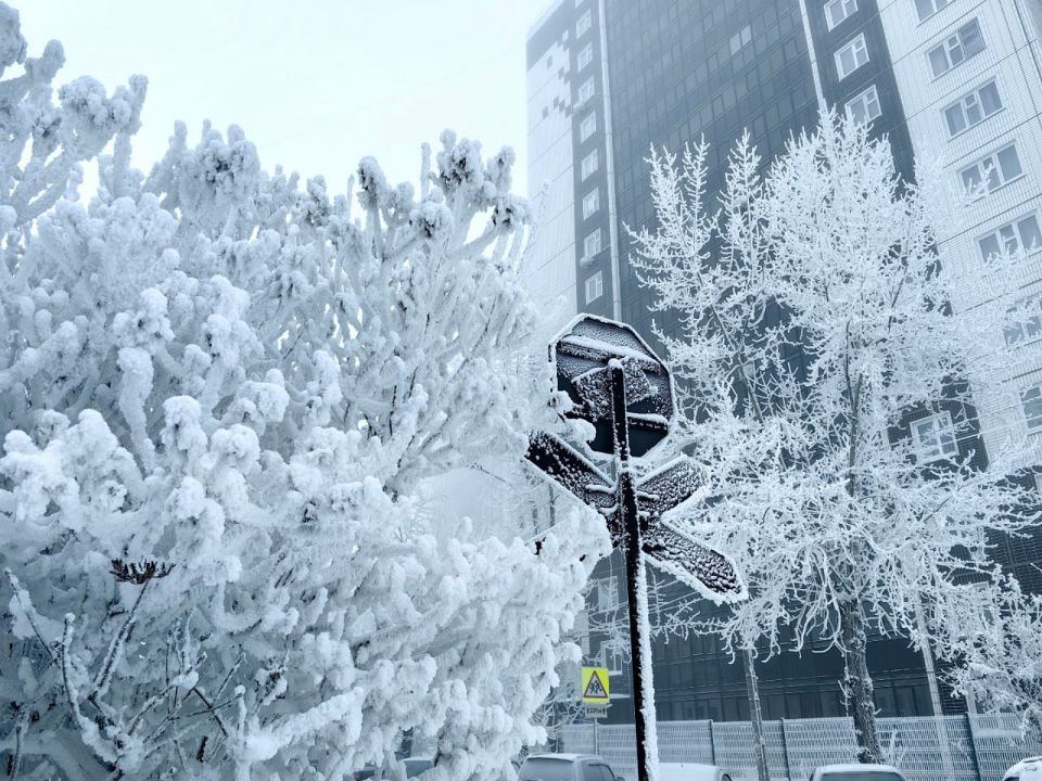 До -40°C и без снега: прогноз погоды на выходные в Красноярске