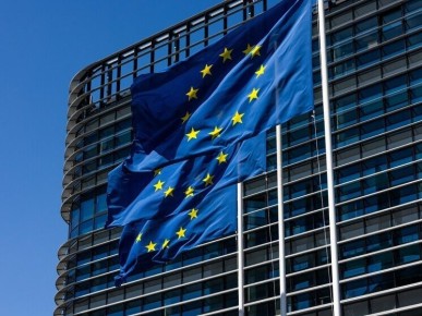 ����������� ���������� �������: ������� ����������� ��� ���� � �������� ��