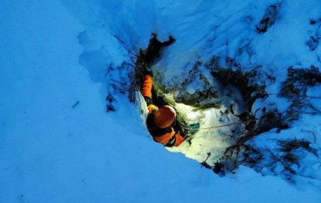 ����������� ��� ����� � ������ ������?