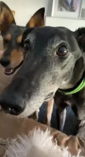 ������. ������ ������, ��� ��� �����