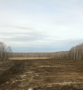 ������ ���� � ������� ���: ���-����� ���������� ������ ���������� �� ������� �������� �� ������