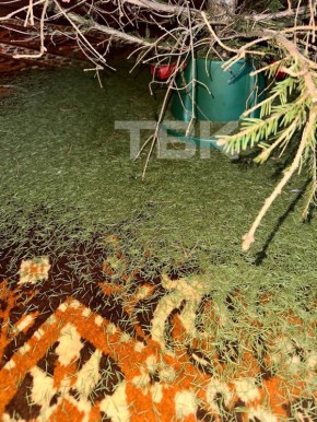 �� �������������� ���� 3� 2� 1�