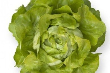 Салат Санторо: секреты успешного выращивания и универсальные кулинарные возможности